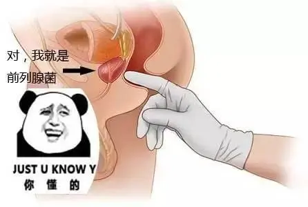 前列腺高潮是什么感觉？前列腺高潮是怎么达到的？