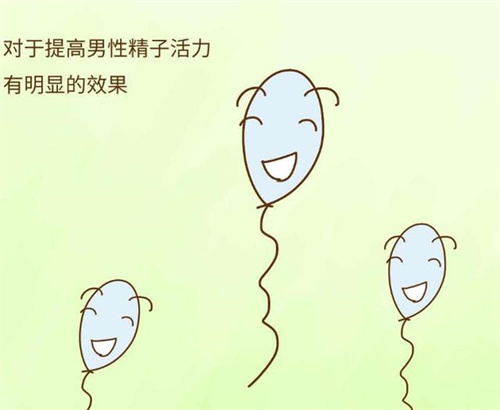 科学备孕生男孩的5种方法一览！附备孕男孩饮食注意事项