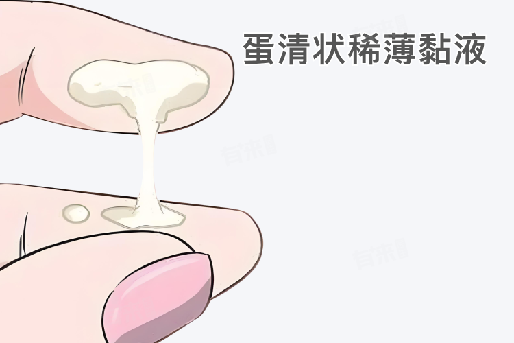 女性排卵期有什么症状或感觉？