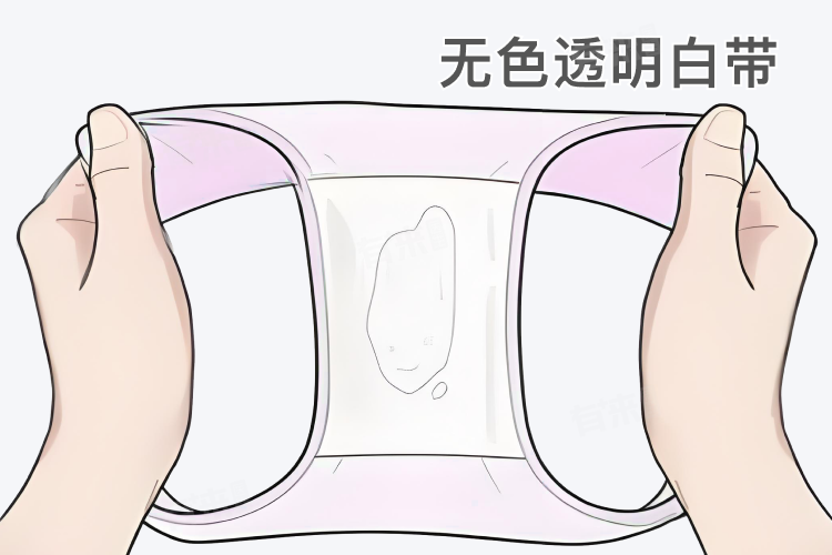 女性排卵期有什么症状或感觉？