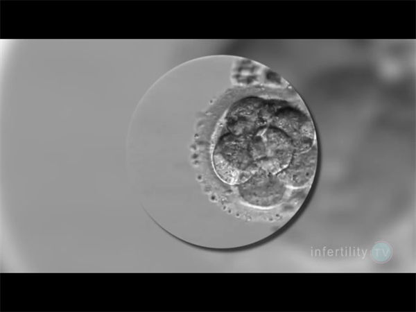 胎梦里的温柔暗示：梦见月亮、珍珠、蝴蝶大概率生女儿？