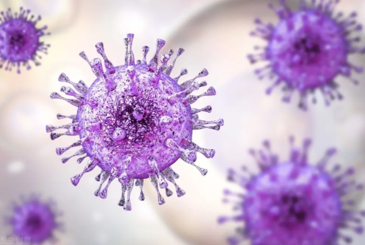 HPV病毒与宫颈癌的关系有多密切？为什么说疫苗是＂一级预防＂关键