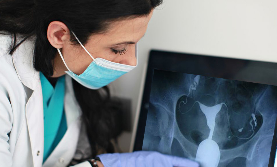 性生活频率不对也会导致不能生孩子？最佳受孕时机揭秘