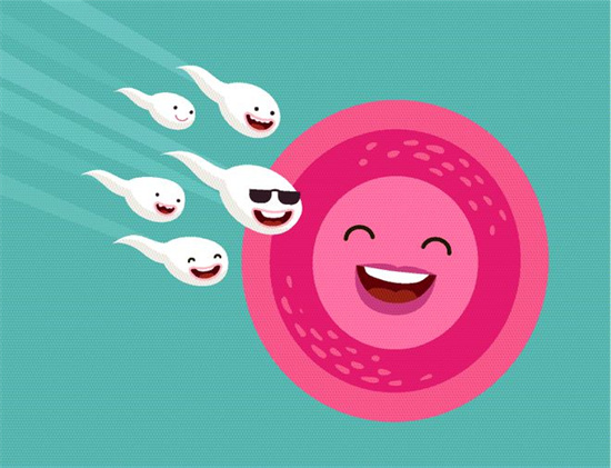 运动过度也会引发男性不育？不当健身习惯背后的风险解析