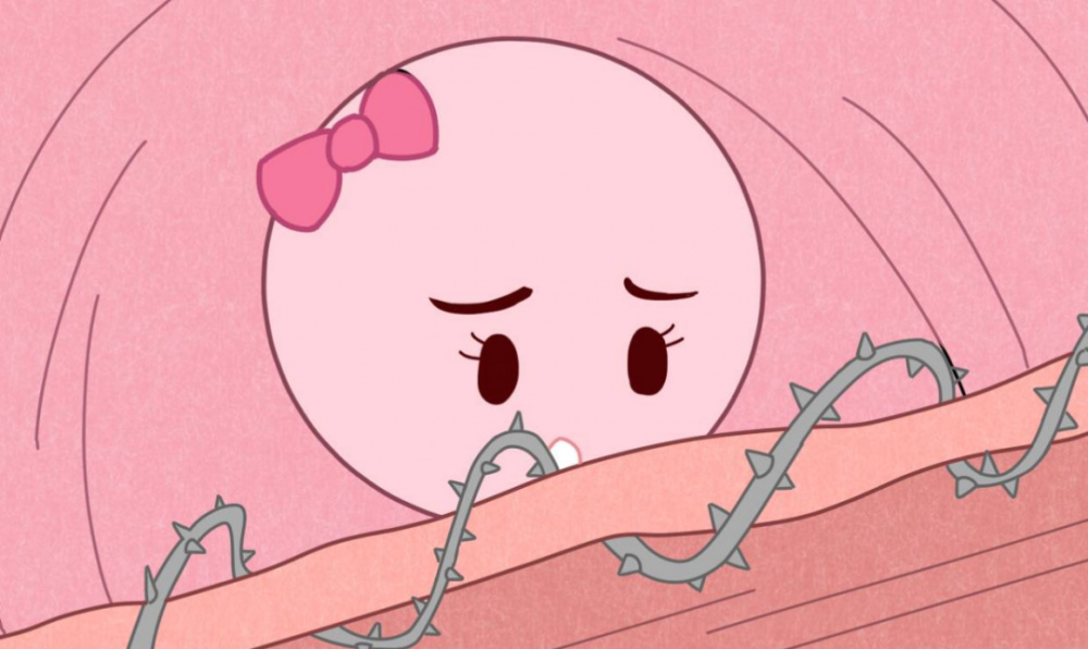 排卵障碍如何影响怀孕几率？专家解析常