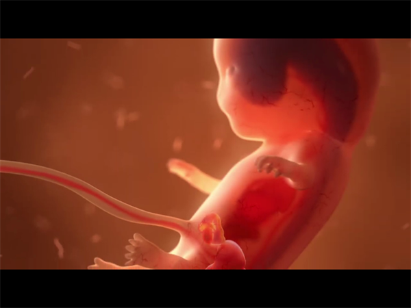 宫外孕偏爱哪些女性？医生总结6类高危人群的“隐形诱因”