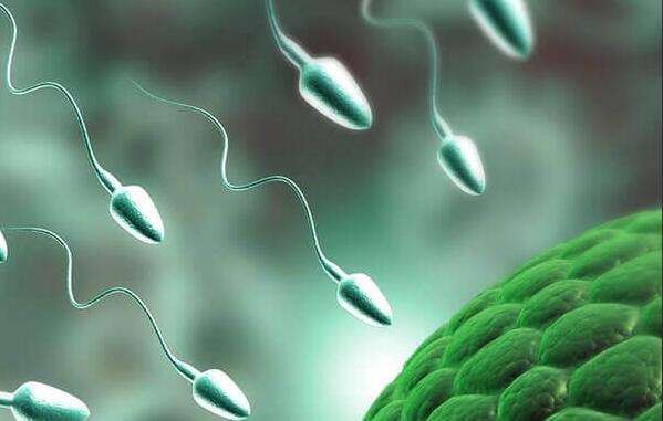 运动能提高精子质量！深蹲、提肛、游泳