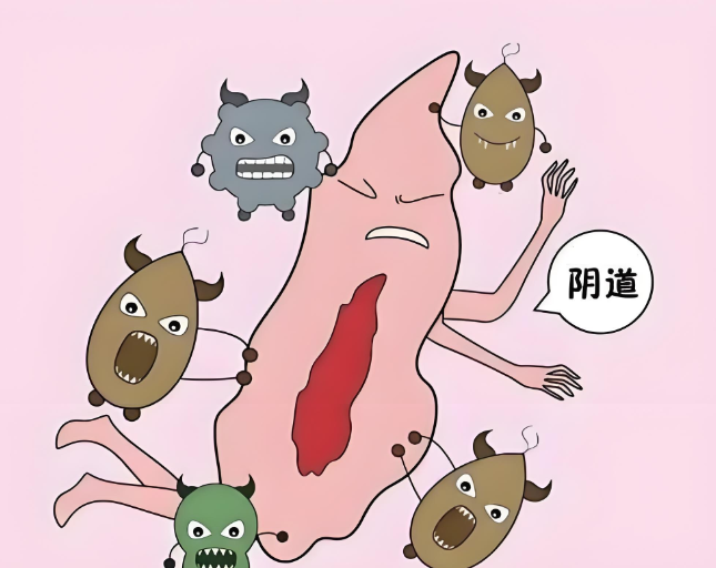 女性私处护理全攻略！从日常清洁到预防