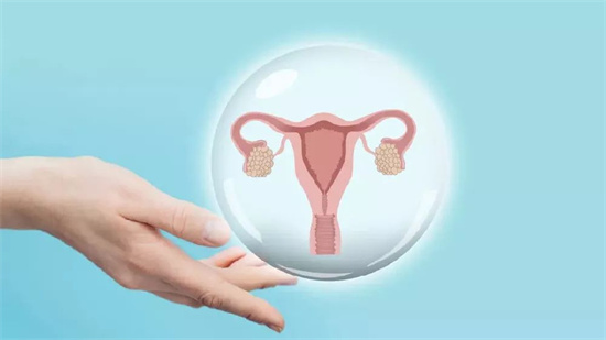 熬夜党注意！高龄备孕提AMH先改掉这个偷走卵巢活力的坏习惯