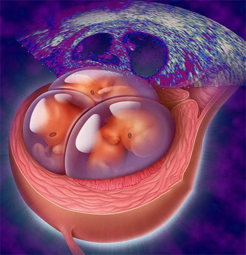 卵子老化不可逆？高龄女性这样做可延缓卵巢衰退、提升受孕力