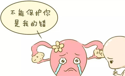 高龄备孕不止靠运气！7天养卵计划帮你重拾孕育希望