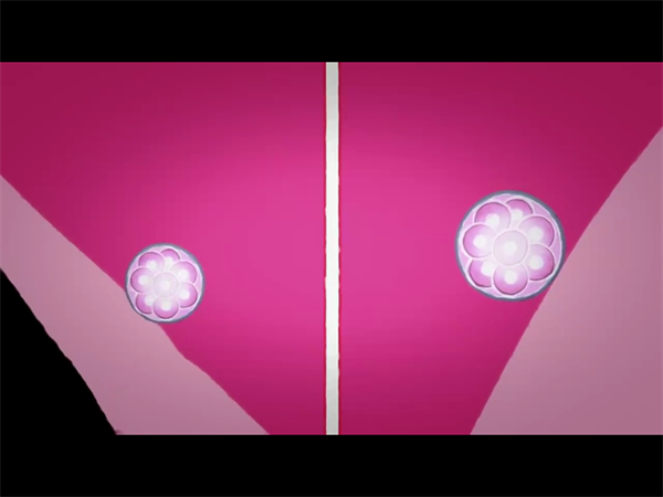 卵子质量差总流产？解析高龄女性养卵新趋势与实用技巧