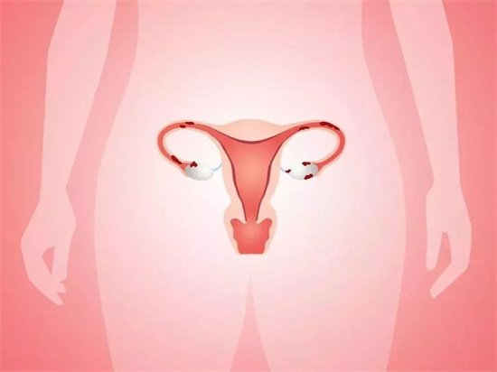 月经周期透露卵子健康信号？高龄女性自我检测与调养秘诀