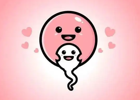 睡眠质量差让卵子老得快？提高深度睡眠的高龄养卵建议