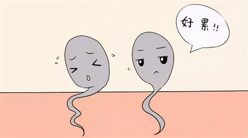 别让坏习惯偷走生育力！3个日常行为正在拖慢精子脚步