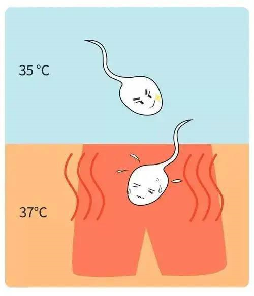 基础体温测量太麻烦？教你读懂体温曲线背后的排卵秘密