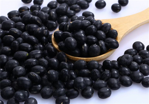 夫妻同调更易中招！双倍好孕秘籍教你打造最佳受孕体质