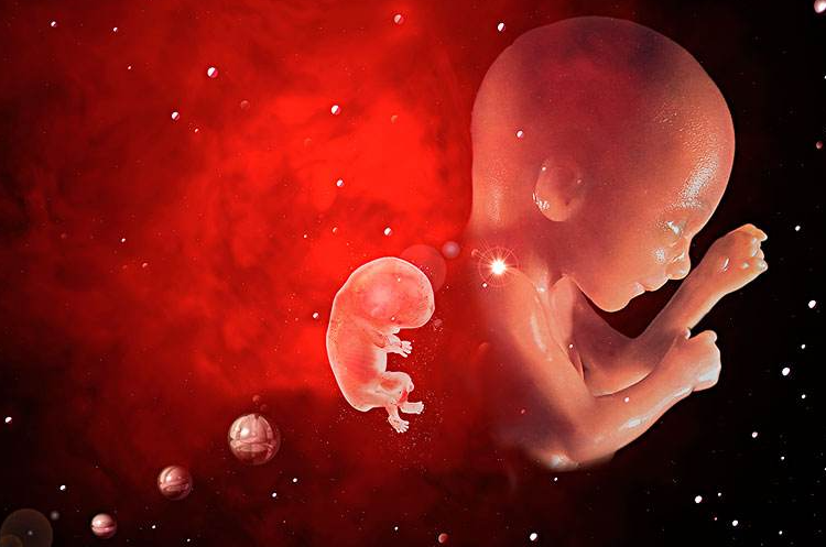 怀孕期间老公频繁做胎梦,是工作压力太大还是父子连心？