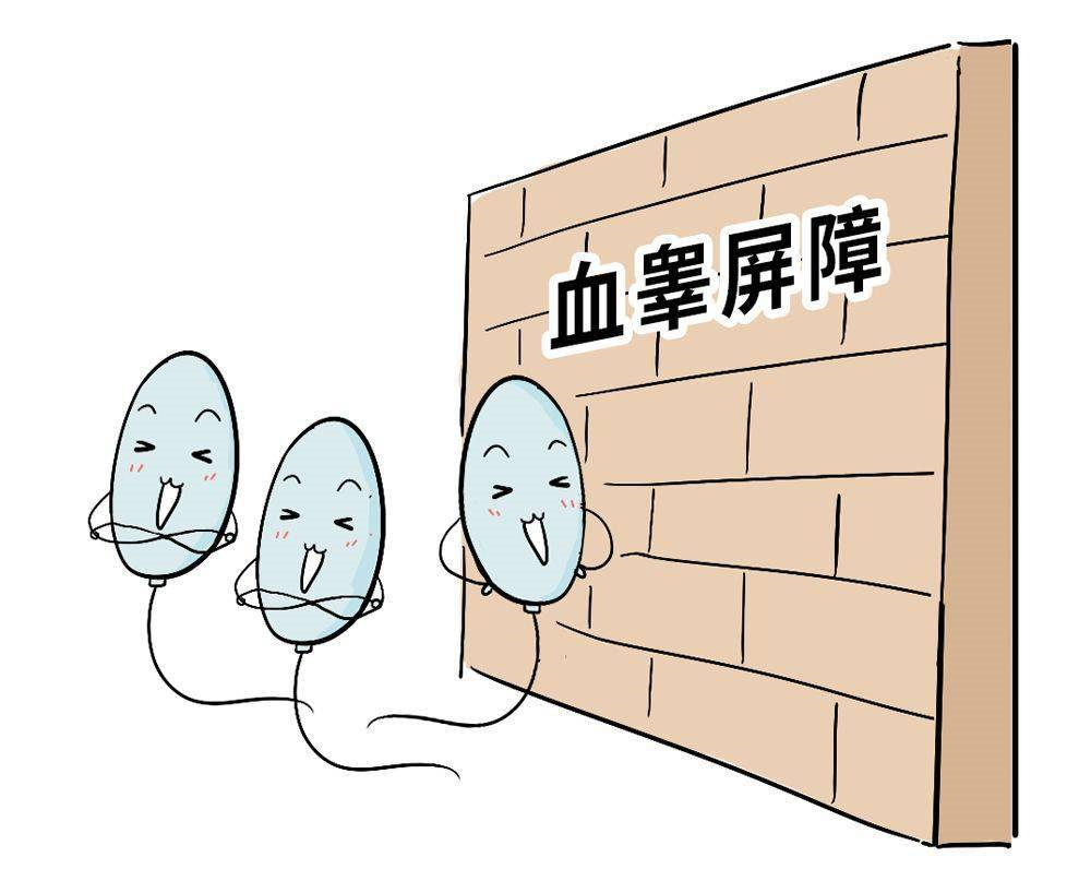 男方精液常规检查报告怎么看？教你5分钟看懂精子活力与畸形率