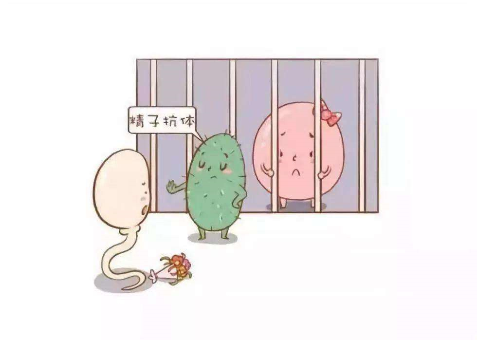 弱精症、少精症吃什么药调理最快？这3类食物堪称“生精宝库”