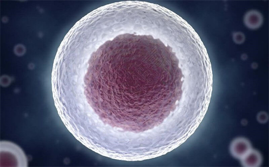 卵泡发育不好、长不大怎么调理？促排卵的3个科学方法
