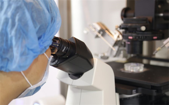 每次试管都在8周左右停胎?妇产科医生带你复盘孕早期胎停的5大核心因素