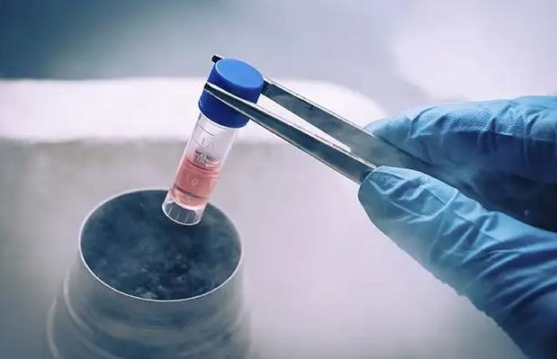 每次试管都在8周左右停胎?妇产科医生带你复盘孕早期胎停的5大核心因素