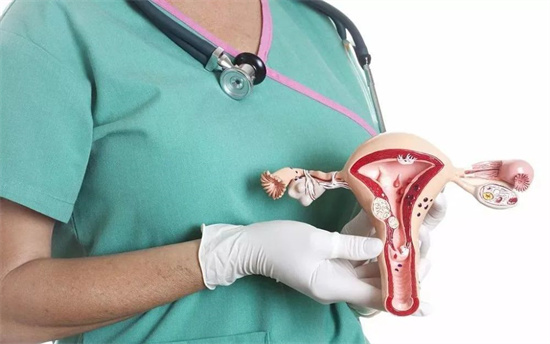 子宫内膜炎怎么治？白带异常、下腹坠痛,别让炎症毁了你的“土壤”