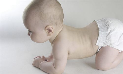 生男羊还是女羊？2027年生男生女清宫表与X/Y精子科学存活环境大揭秘