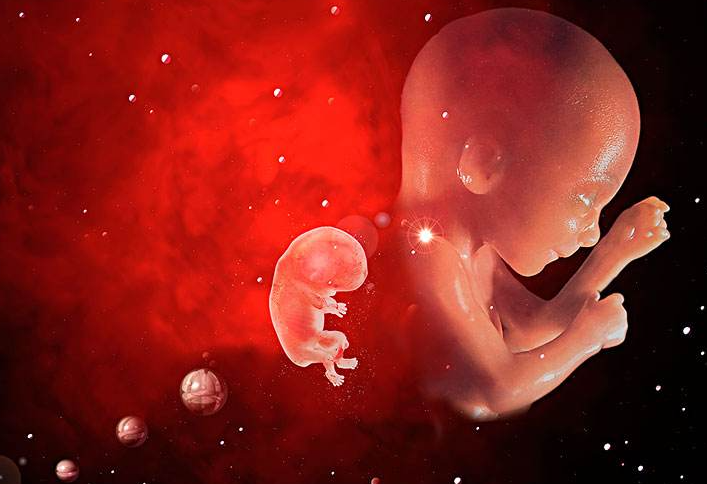 孕3个月梦见蛇缠身,到底暗示什么？孕早期蛇类胎梦大全