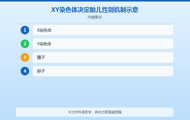备孕吃什么容易生男孩？民间说法VS科学解释一次说清