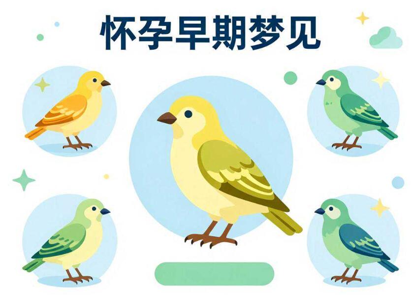 胎梦梦到黄鹂是胎梦吗？怀孕早期梦见黄鹂鸟寓意全解读