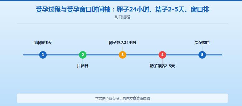 怎样怀孕动作：从排卵时机到同房频率，