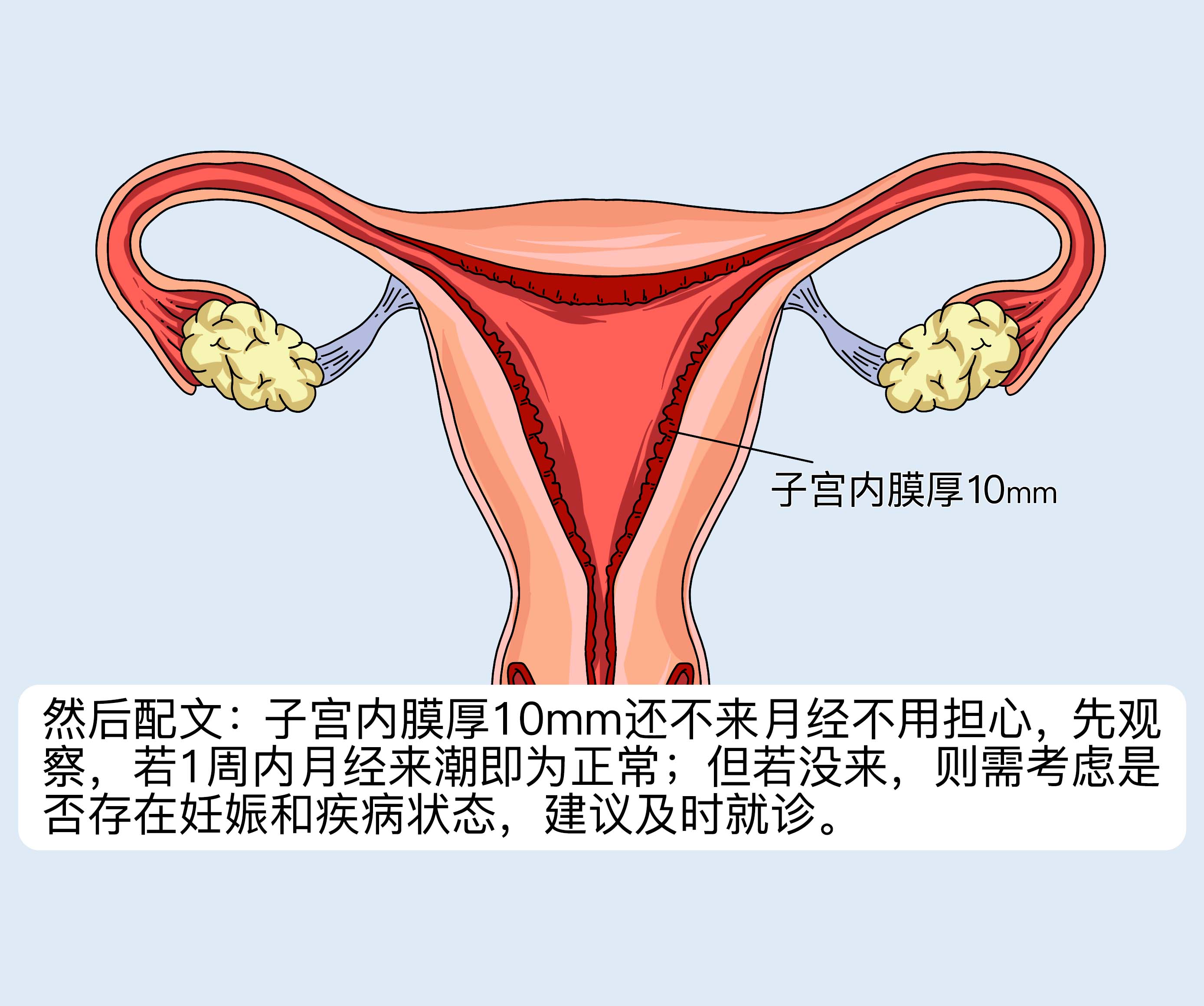 子宫内膜厚10mm还不来月经怎么办