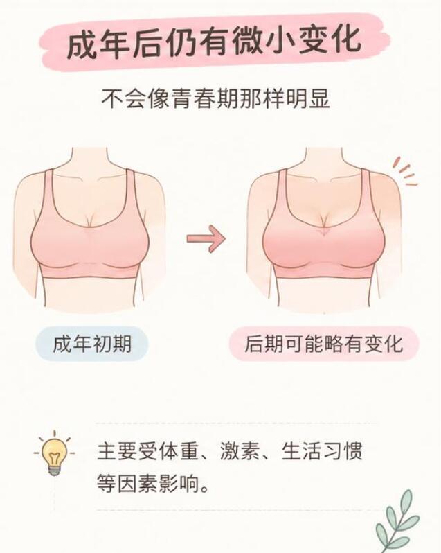 成年后胸部还能再发育吗？这个问题一次说清楚