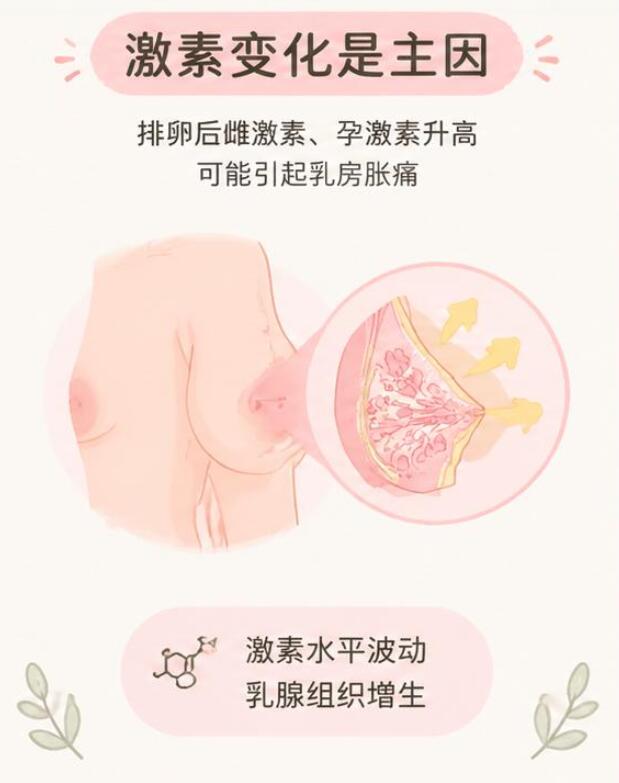 月经后半个月乳房胀痛是怎么回事？