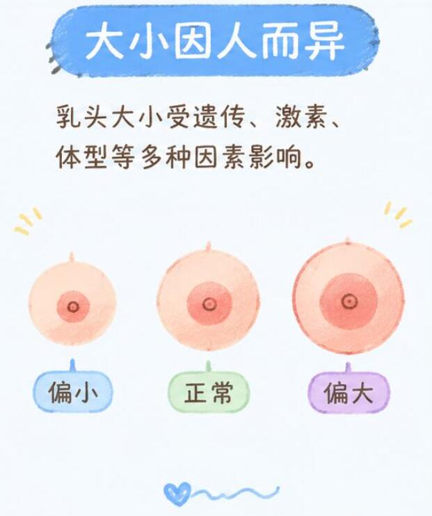 乳头小是没发育完吗？真相和你想的不一样