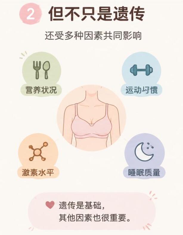 乳房发育小和遗传有关吗？