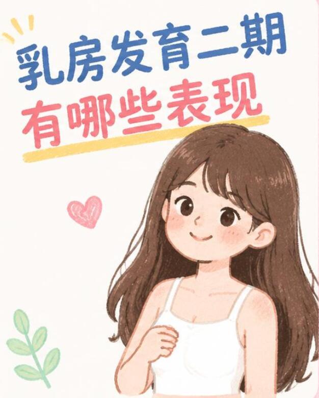 乳房发育二期有哪些表现？