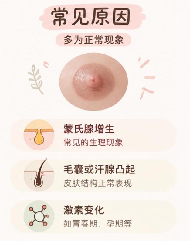 乳晕长小凸起是什么问题？大概率是正常的生理结构，不用太焦虑