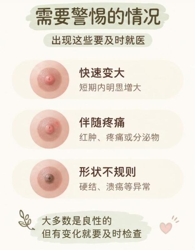 乳晕长小凸起是什么问题？大概率是正常的生理结构，不用太焦虑
