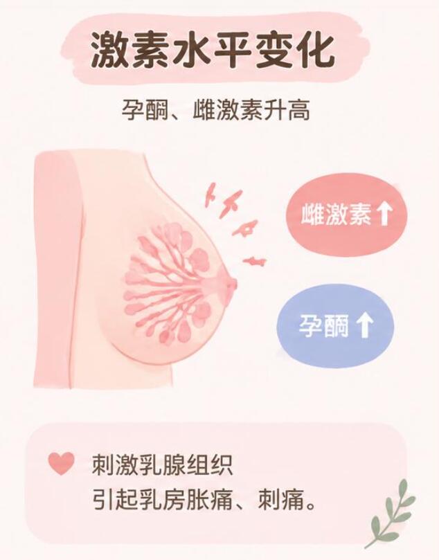 怀孕初期乳房刺痛是什么原因？其实是身体在悄悄为宝宝“建粮仓”