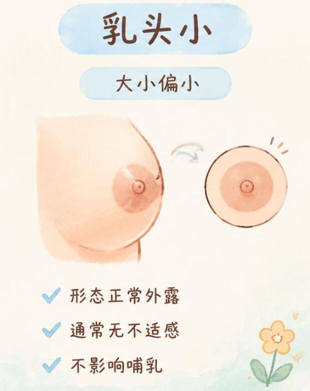 乳头内陷和乳头小有什么区别？别再搞混了！
