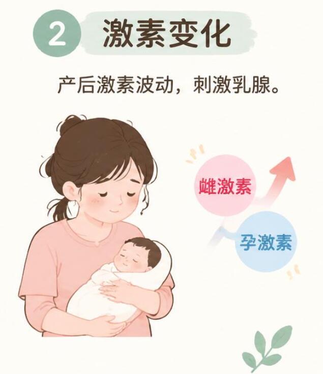 胀奶痛是什么原因引起的？