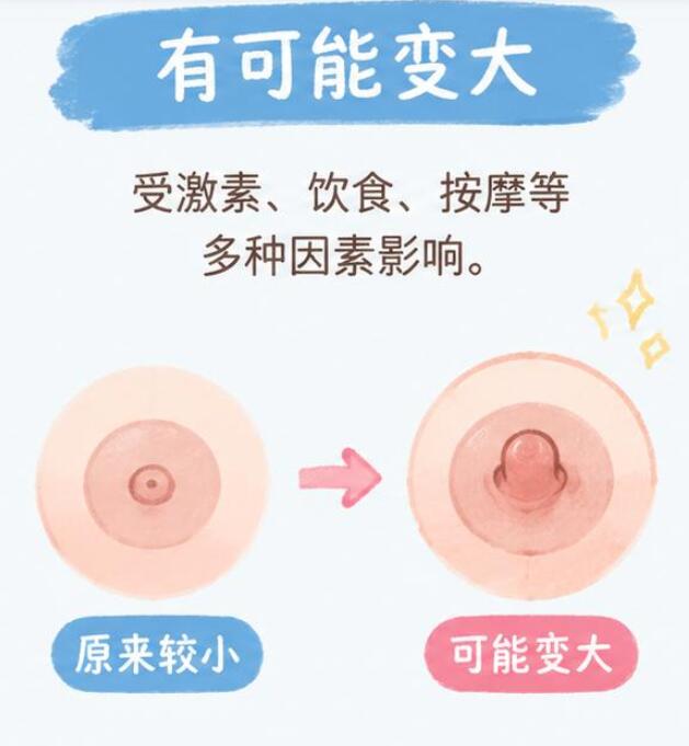 成年后乳头小还能变大吗？
