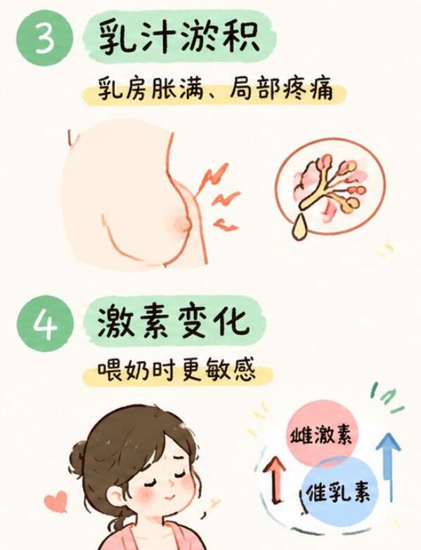 哺乳期乳房刺痛是怎么回事?