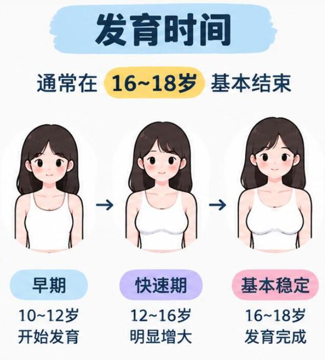 女生胸部发育到什么时候结束？